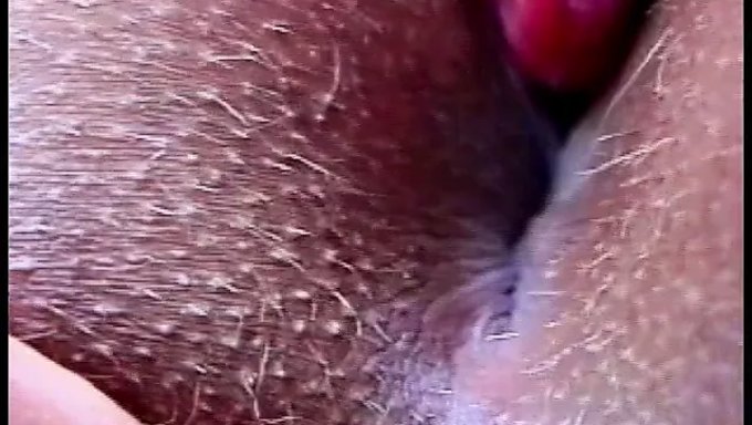 Alman Genç Kız Latin Tarafından Anal Olarak Beceriliyor