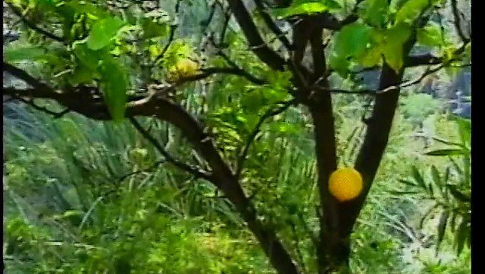 Esmer Bebek Sıcak Bir Açık Hava Üçlüsünden Zevk Alıyor