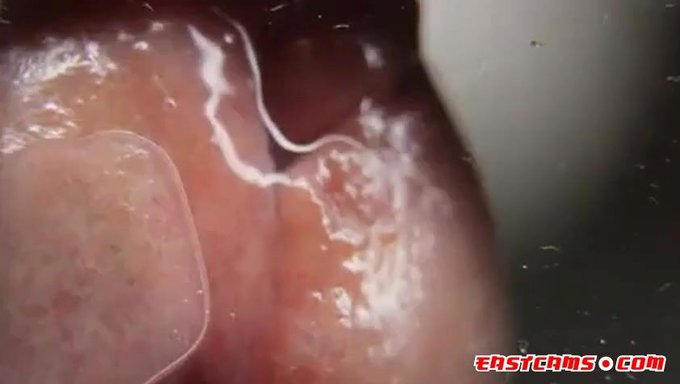 Amatör Asyalı'Nın Camda Yakın Çekim Boşalması