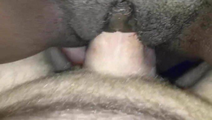 Siyah Olgun Milf Ve Beyaz Sevgilisi Ev Yapımı Videoda