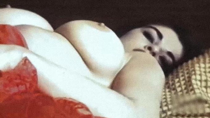 Vintage Güzeli Sevişin - Klasik Bir Porno Videosu