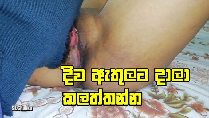 Srilankalı Ev Hanımının Oral Zevki - Cennetin Tadı