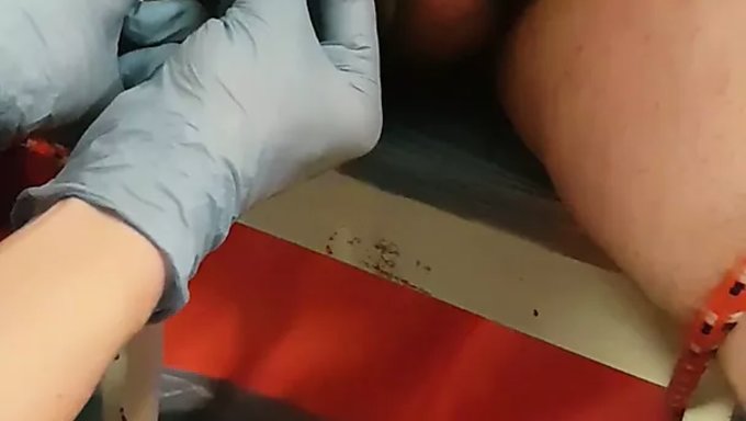 Dildo Ve Iğnelerle Penis Ve Testisleri Işkence Etmek
