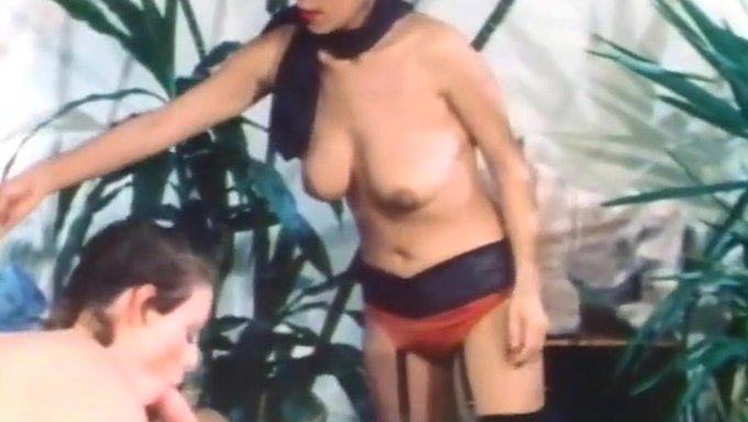 Vintage Isveç Erotik Filmi: Iyi Sikiş