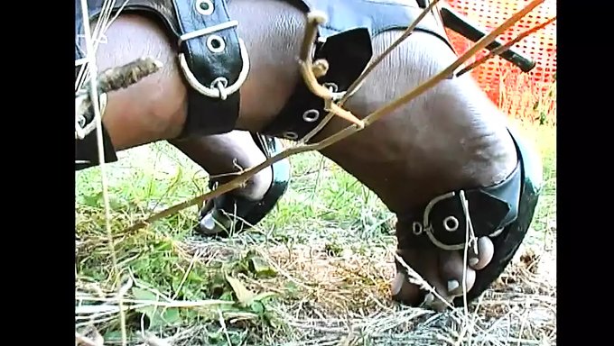 Italyan Trans Anal Orgisi - Bölüm 1