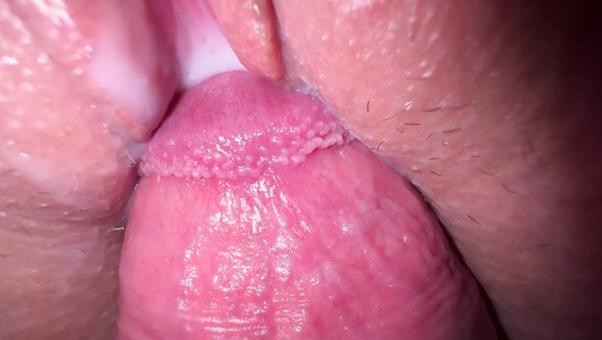 Azgın Bir Amatörle Creampie Seks