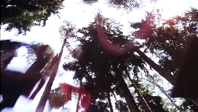 Marie Forsa Ve Eric Edwards'In Yer Aldığı Eski Bir Video