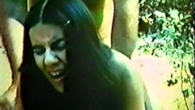 Tutkulu Karşılaşmalar: Porno Videosundaki Sevgililer