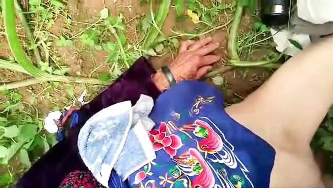 Doğal Habitatında Baştan Çıkarıcı Bir Asyalı Büyükanne