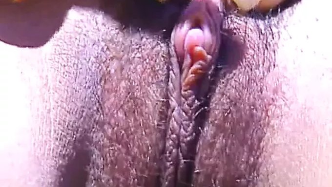 Vintage Porno: Bir Oyun Evi