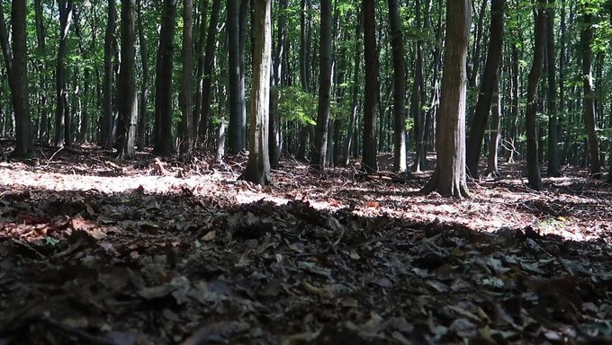 Aşağılanmış Bdsm Kızı Hakimiyet Tedavisi Alıyor