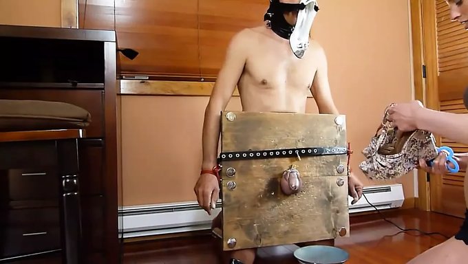 Girls Sexis: The Ultimate Destruction