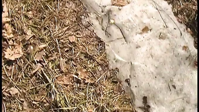 Christine Young'Un Doğal Güzelliği Bu Açık Hava Sakso Videosunda Tam Olarak Sergileniyor