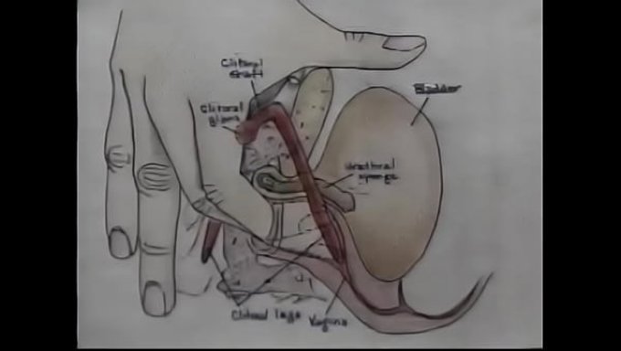 Orgazmlara Nasıl Ulaşılacağı Hakkında Seks Eğitimi Videosu, Oldukça Açık.