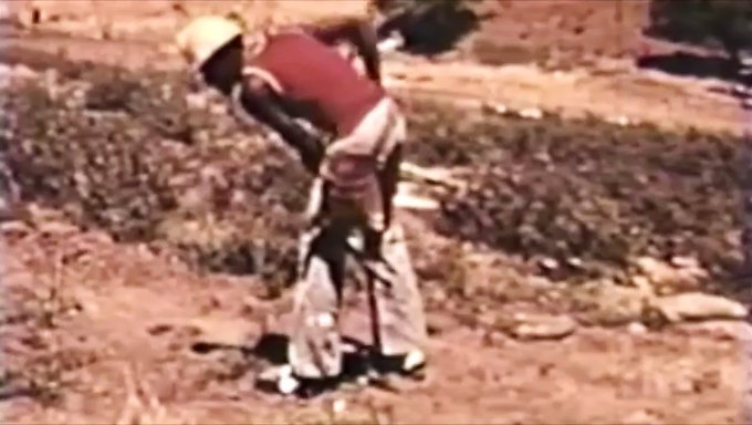 Kral Gibi Boşalma: Kral Paul'Un Klasik Boşalma Derlemesi