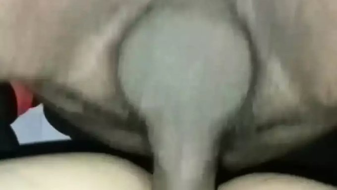 Sert Bir Sikiş Için Ayakta Pozisyon