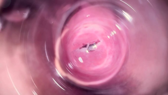 Mia'Nın Amcığı Bir Dildo Ile Yakın Çekim Masajı Alıyor