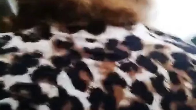 Büyük Güzel Kadınlar Sabahları Yaramazlık Yaparlar