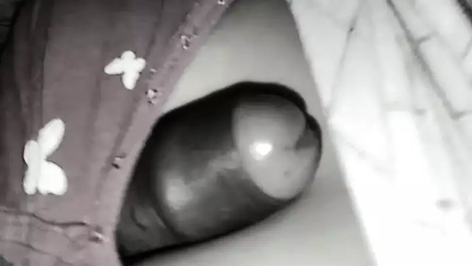 Olgun Hint Karısının Derin Boğazı Ve 69 Eylemi