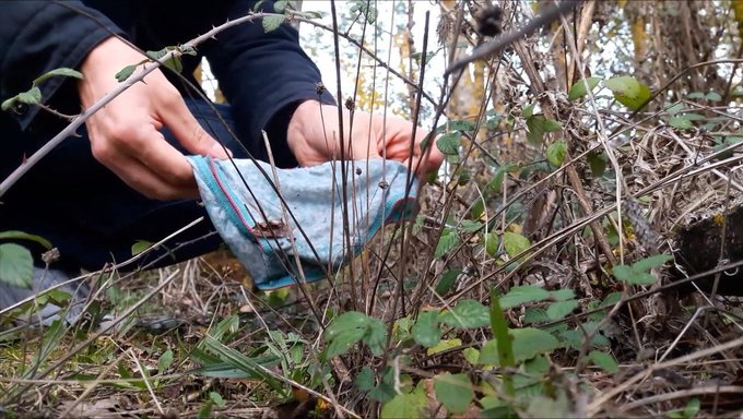 Terk Edilmiş Külot Bölüm 2: Mükemmel Son