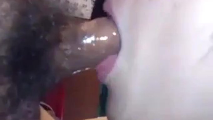 Sulu Asyalı, Bir Cumshot'I Yutuyor