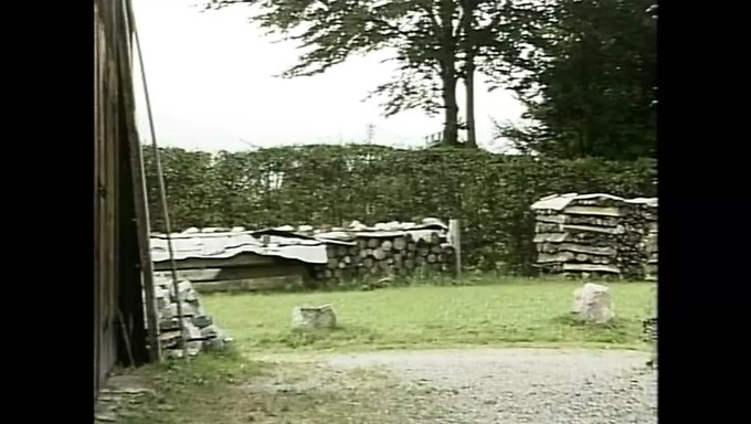 Heidi'Nin Ormanlık Alanı Ve Otomobili Vintage Görüntülerde Kaçıyor