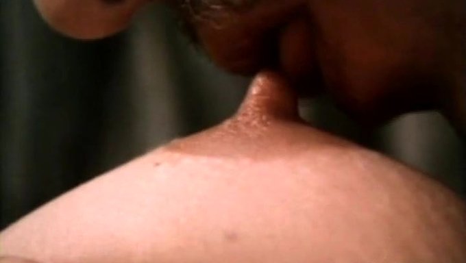 Efsanevi Yıldızlarla Sıcak Ve Sıcak Vintage Porno