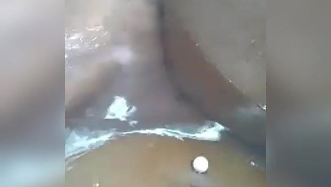Amatör Canlı: Avrupalı Güzellik
