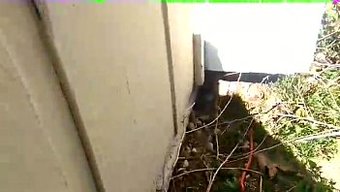 Şaşıran: Ev Arkadaşı Seks Oyuncaklarıyla Yakalandı