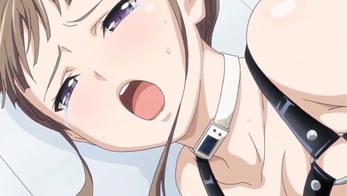 Anime Seks, Hardcore Bdsm Sahneleri Ve Daha Fazlası